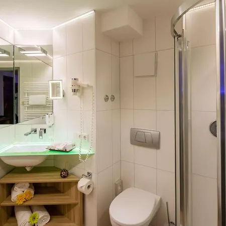 Western Parkhotel فندق ايردينغ