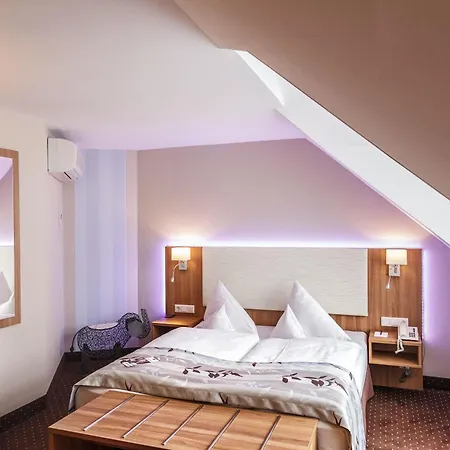 Western Parkhotel 4* 에르딩